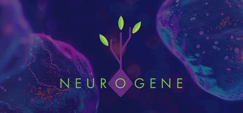 rsrt-gfx-neuro-jun2025artboard-1